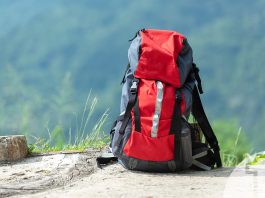 Ο αθλητικός τουρισμός και ο ρόλος του για τις τουριστικές επιχειρήσεις | Ena Blog